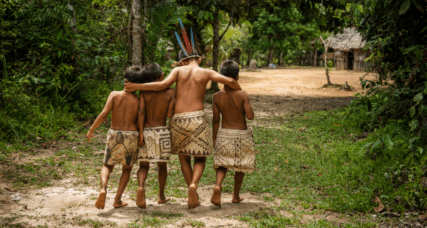 Indigenous communities hold the key – Rainforest conservation