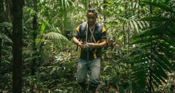 How Cool Earth’s Forest Labs protect the rainforest with data