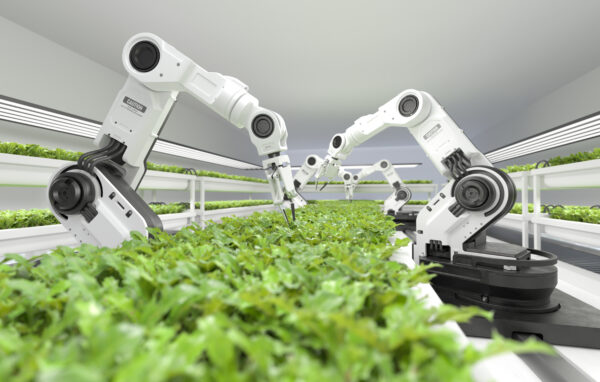 Digital twins: The backbone of robotics deployment 