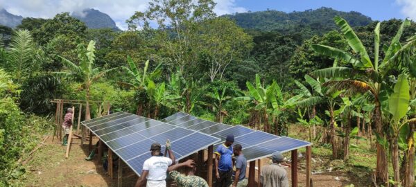 Earth Day 2025: Empowering change with Cool Earth